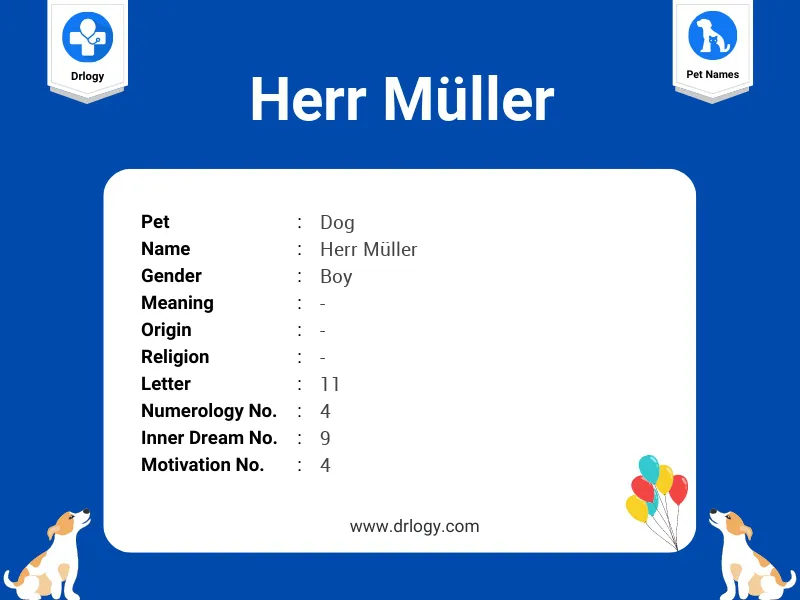 Herr MüLler Name Meaning